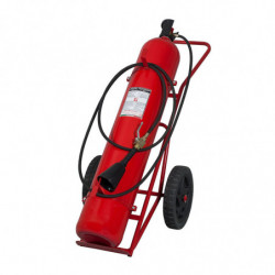 Estintore Carrellato Co2 50 kg - 233B